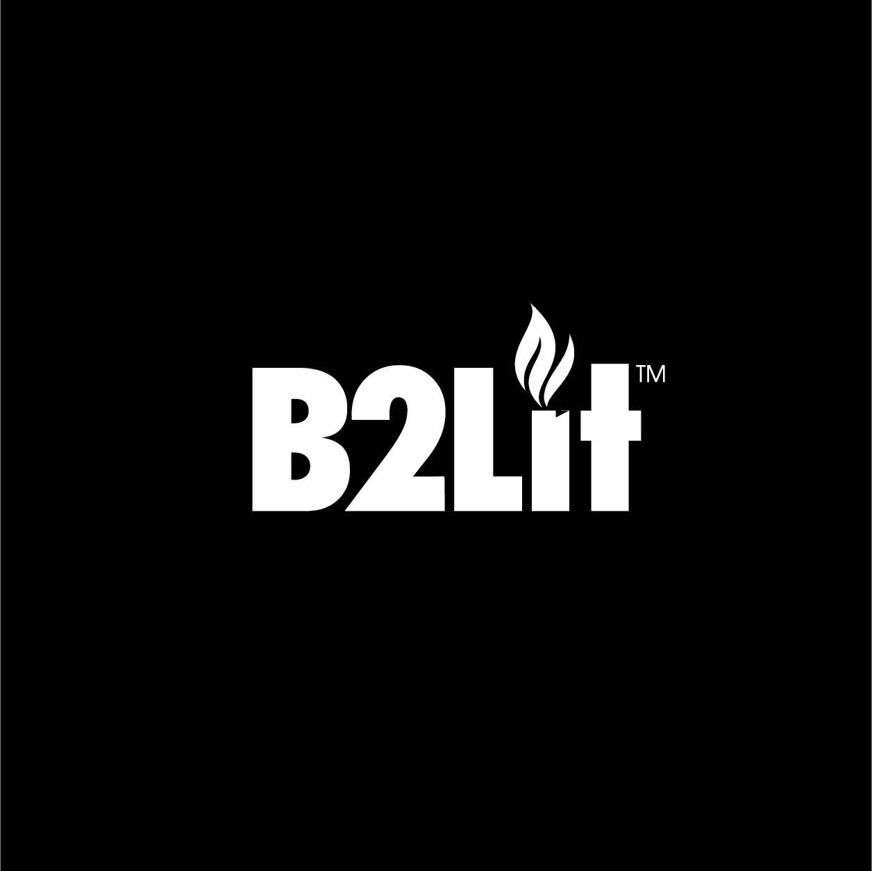 B2Lit Lighters